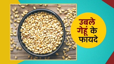 गेहूं को उबालकर खाने से सेहत को मिलते हैं कई जबरदस्त फायदे