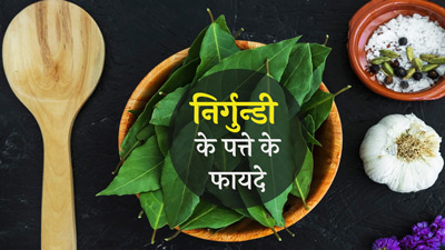 आयुर्वेदिक गुणो से भरपूर होती हैं निर्गुन्डी की पत्तियां, जानें इसके 7 फायदे