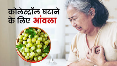 कोलेस्ट्रॉल कंट्रोल करने के आंवला है बहुत फायदेमंद, जानें कैसे करें सेवन