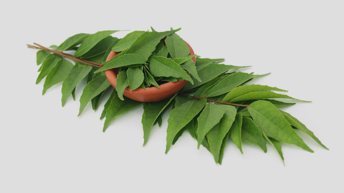 curry-leaves-benefits-for-skin