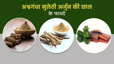 अश्वगंधा, मुलेठी और अर्जुन की छाल का करें इस्तेमाल, शरीर की ये 5 समस्याएं होंगी दूर