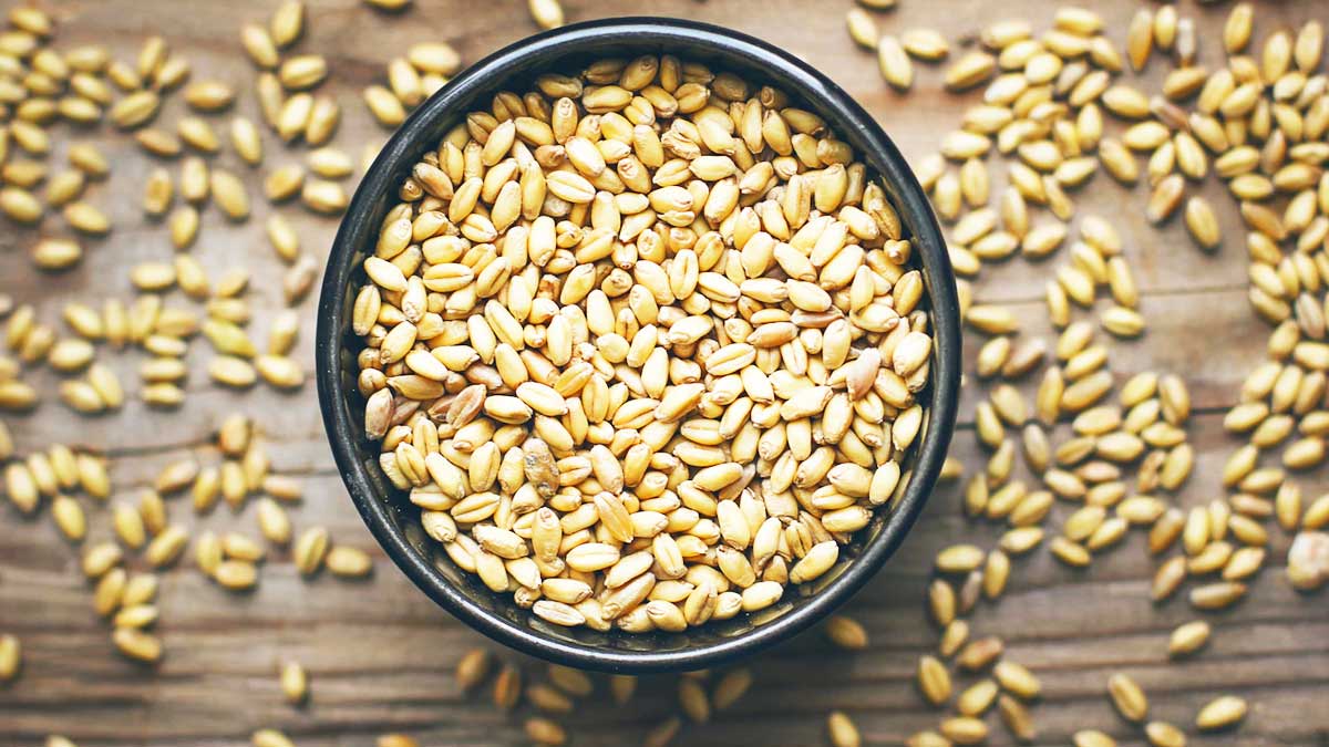 Wheat water for  Weight Loss