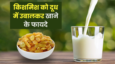 किशमिश को दूध में उबालकर खाने से सेहत को मिल सकते हैं ये 5 फायदे, जानें तरीका