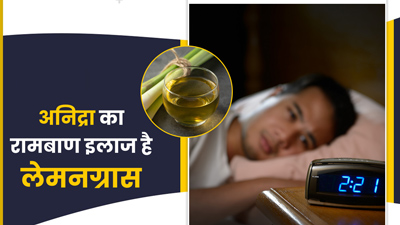 अनिद्रा का रामबाण इलाज है लेमनग्रास, जानें इस्तेमाल का तरीका