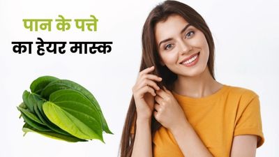 पान की पत्तियों से बने हेयर मास्क से दूर करें बालों की समस्याएं, जानें इस्तेमाल का तरीका