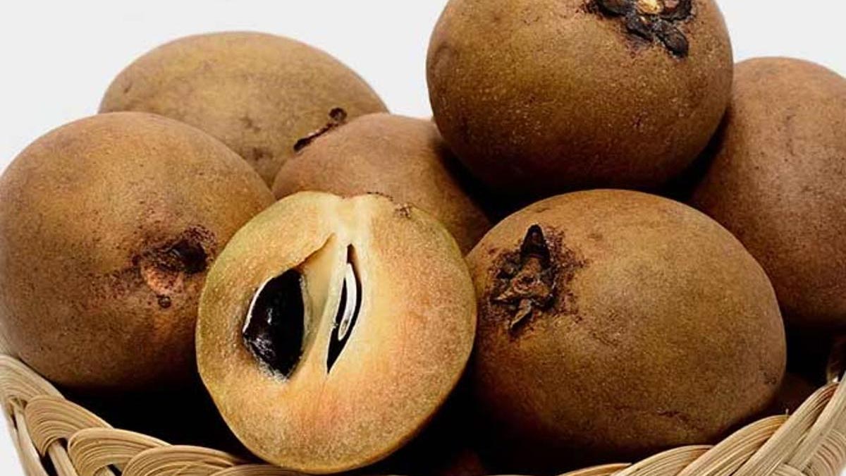 Can A Diabetic Eat Chikoo