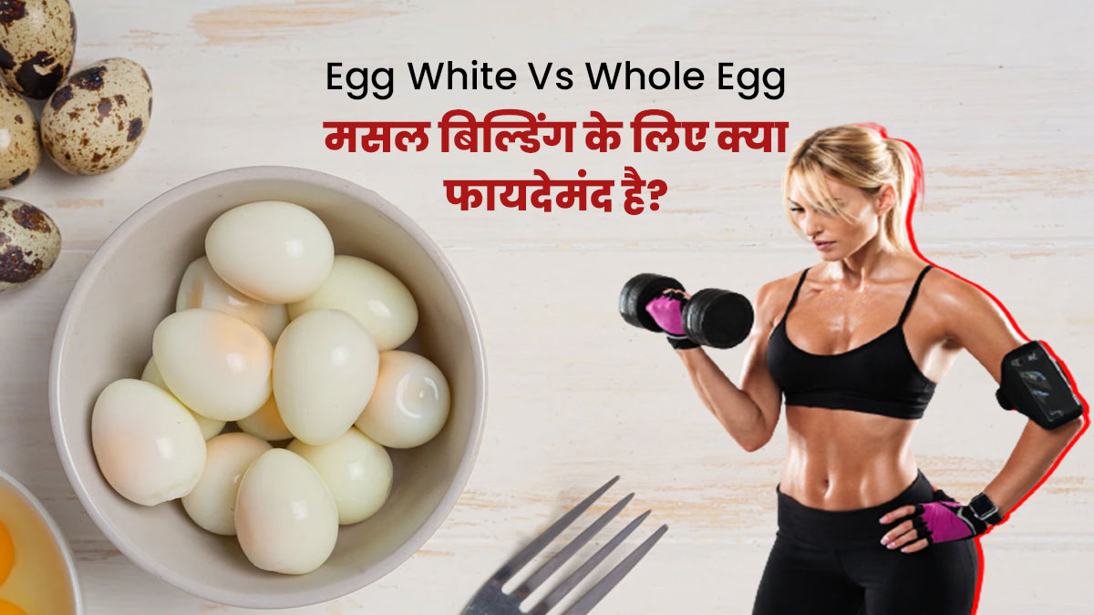 अंडे की सफेदी या पूरा अंडा? मसल बिल्डिंग के लिए क्या ज्यादा फायदेमंद है?
