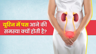 यूरिन में पस सेल्‍स कितना होना चाहिए? डॉक्टर से जानें इसकी नॉर्मल रेंज