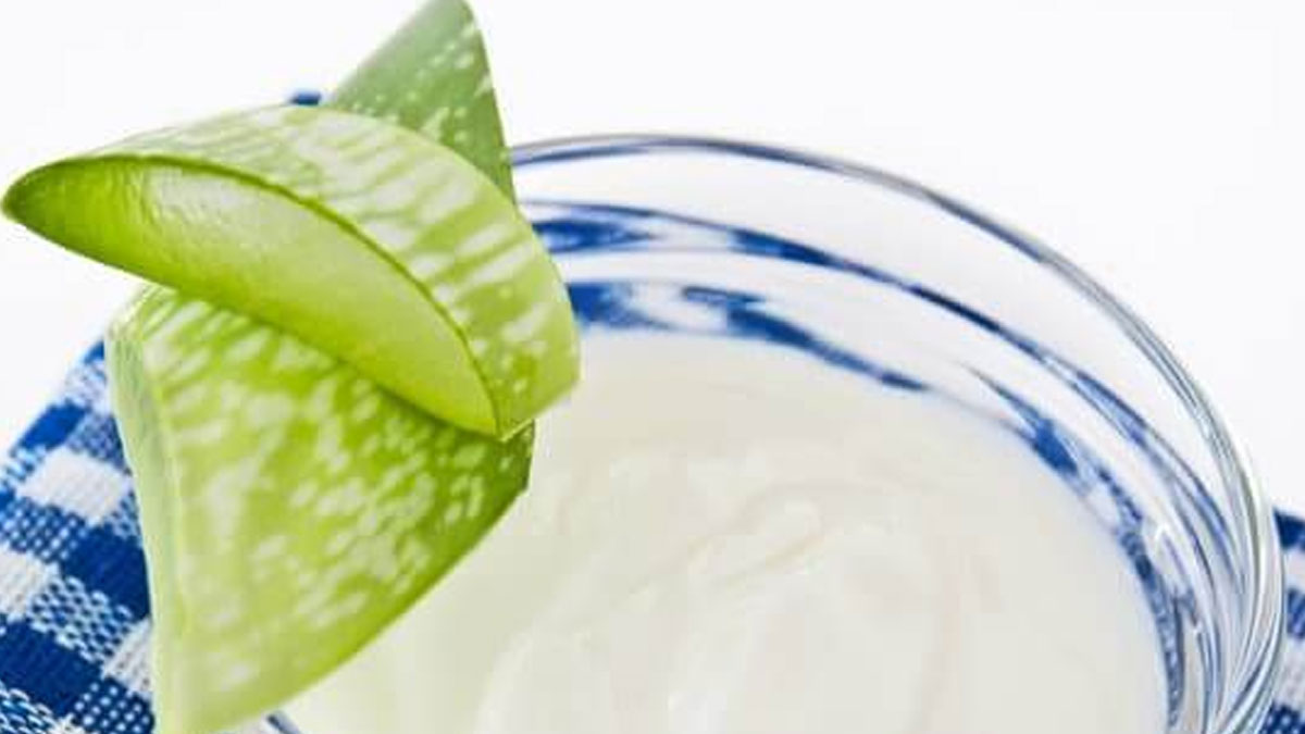 curd and aloe vera for hair