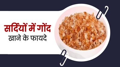 सर्दियों में खाएं गोंद, शरीर को मिलेंगे ये 5 फायदे 