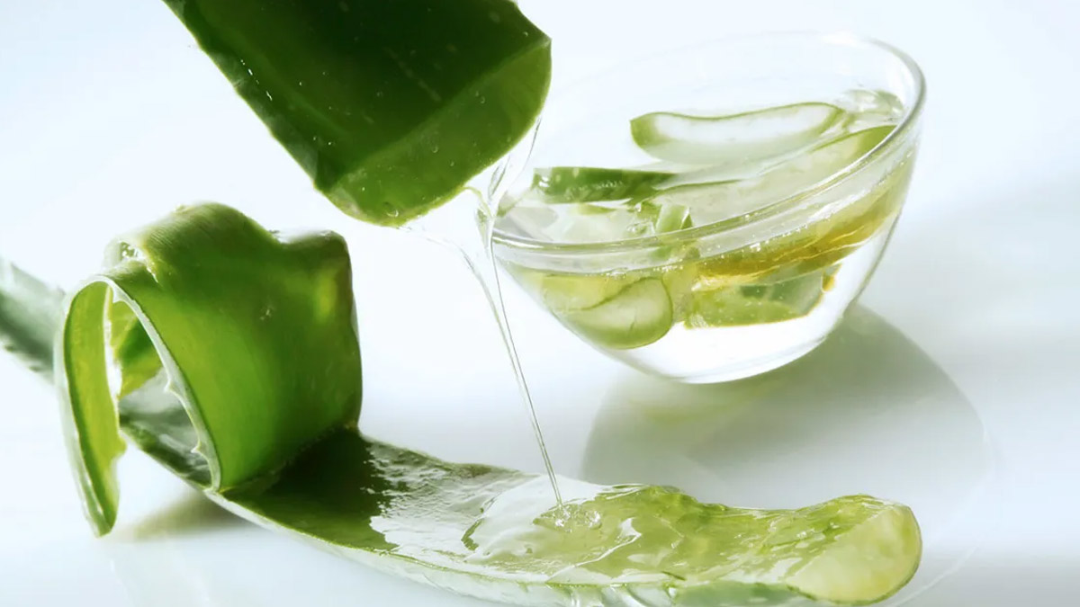 aloe vera for dry hair