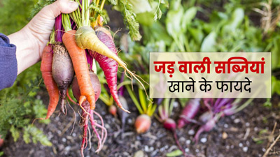 सर्दी के मौसम में जरूर खाएं जड़ वाली ये 6 सब्जियां, शरीर को मिलेंगे जबरदस्त फायदे