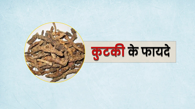 आयुर्वेदिक गुणों का खजाना है कुटकी, जानें इसके फायदे और सेवन का तरीका