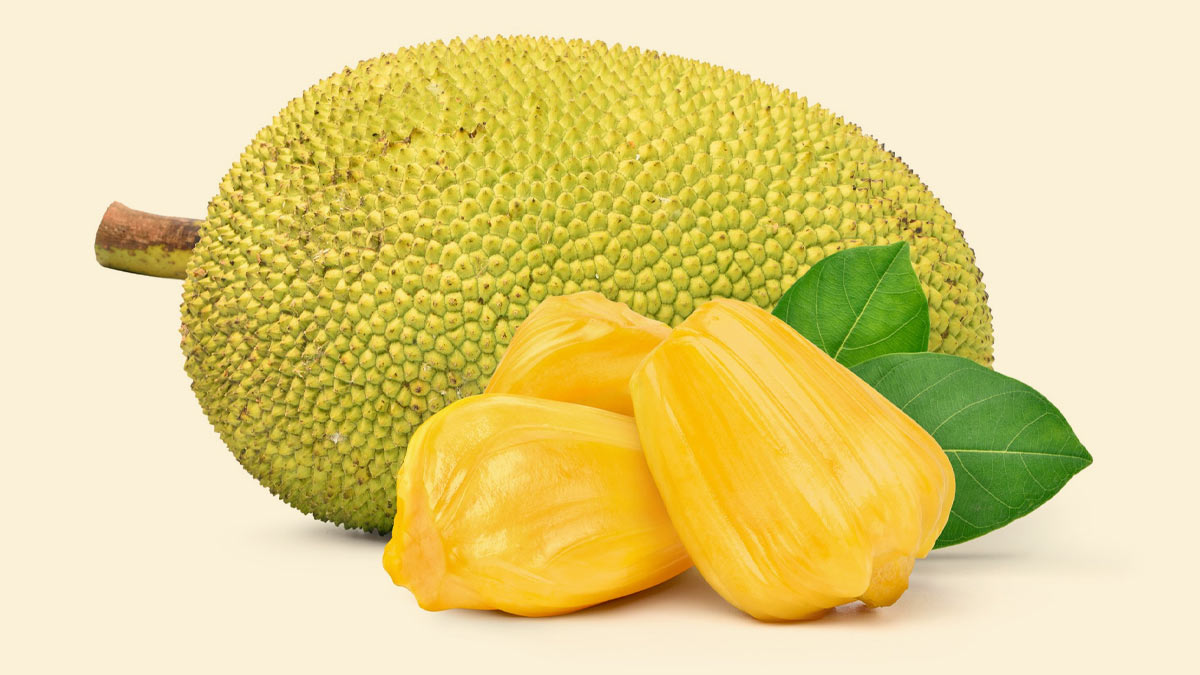 The Health Benefits Of Green Jackfruit Flour OnlyMyHealth