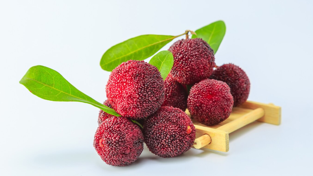 Kadamba Fruit Benefits