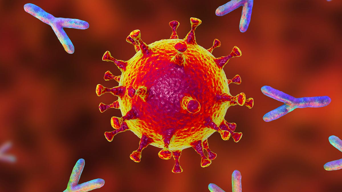 aata gud halwa benefits