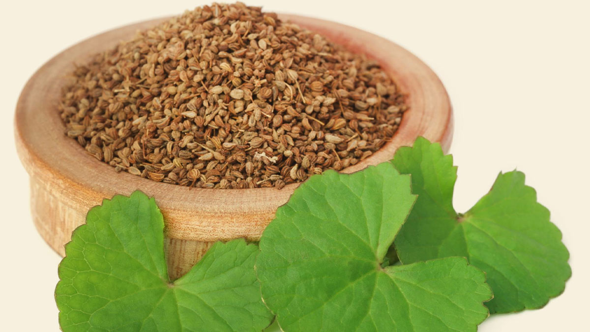 सर्दीखांसी से लेकर कई गंभीर बीमारियों में रामबाण हैं अजवाइन की