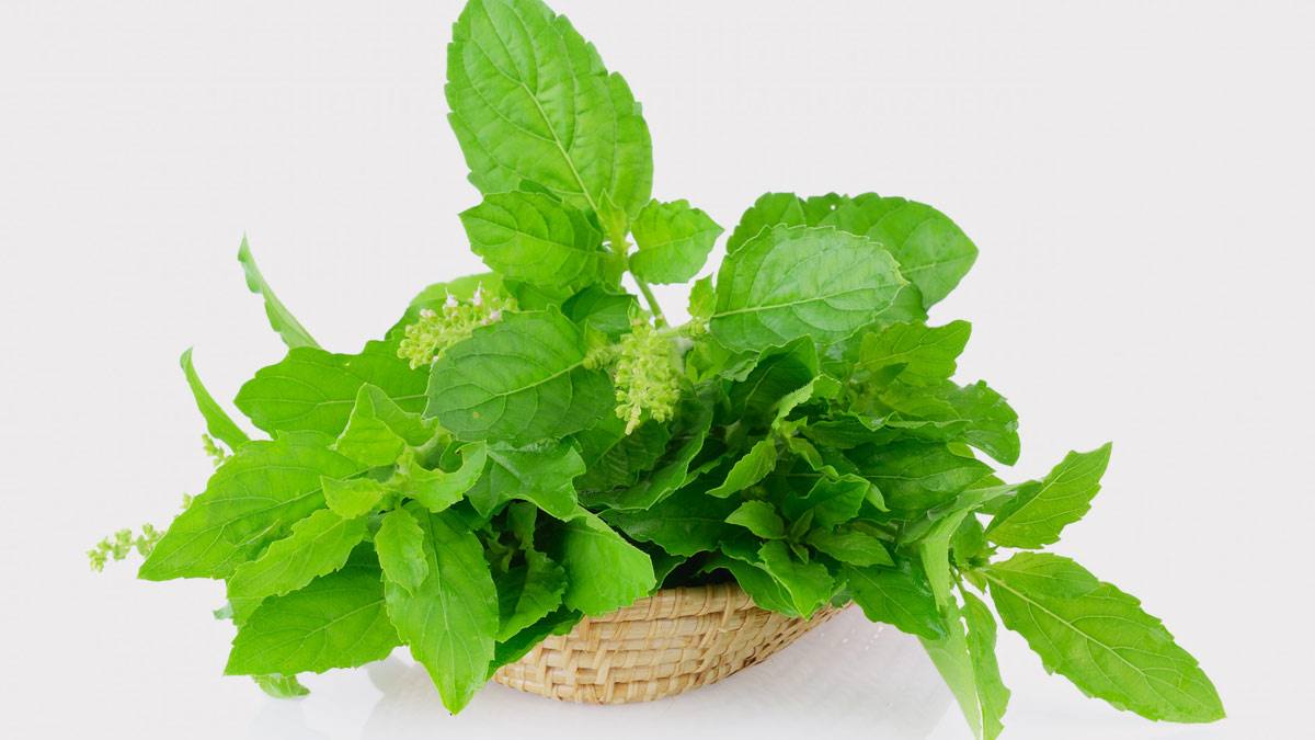 5 Healthy Foods 5-healthy-foods