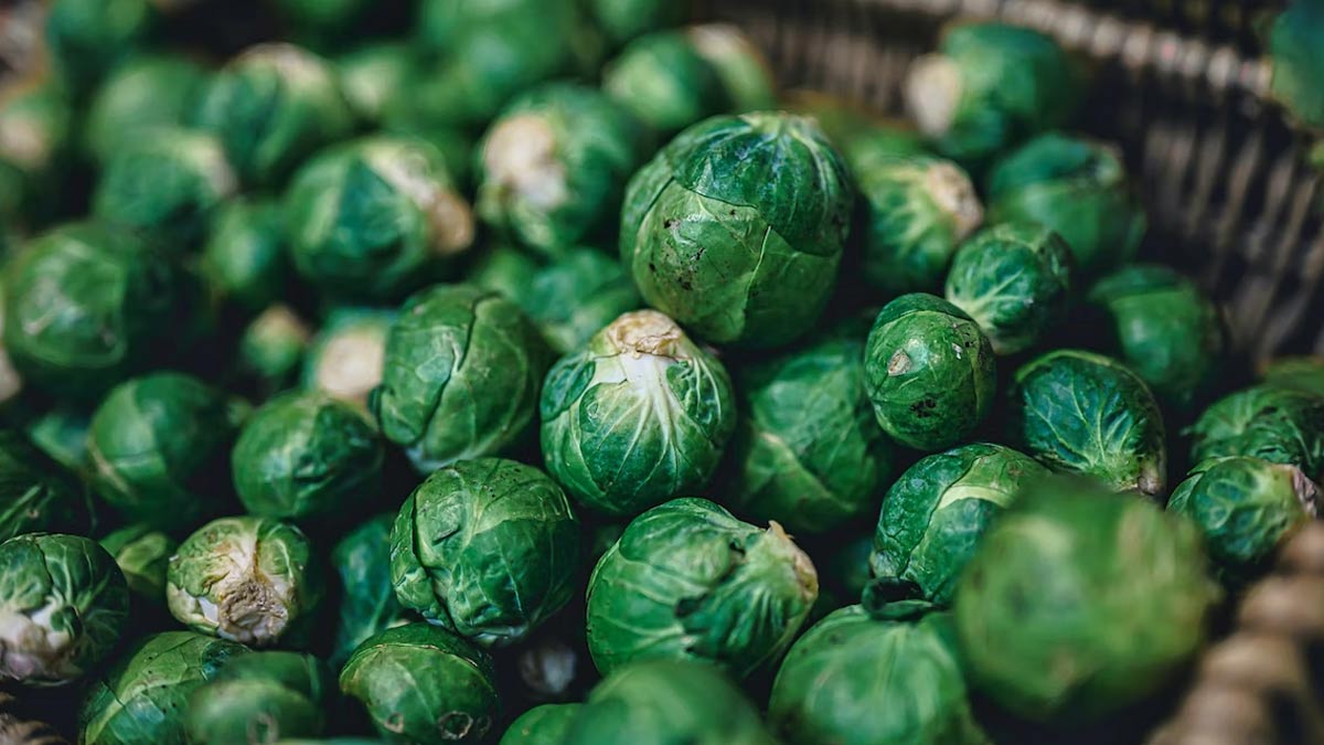 Brussels Sprouts Health Benefits