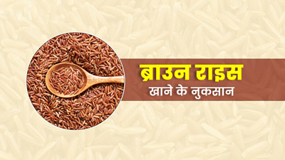 Brown Rice Side Effects: ब्राउन राइस खाने से सेहत को हो सकते हैं ये 5 नुकसान
