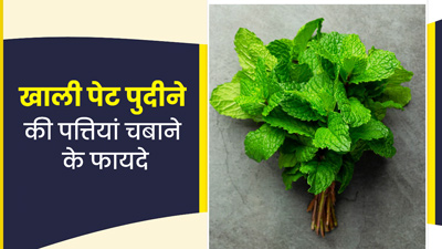 खाली पेट चबाएं पुदीने की पत्तियां, मिलेगा कई गंभीर समस्याओं से छुटकारा