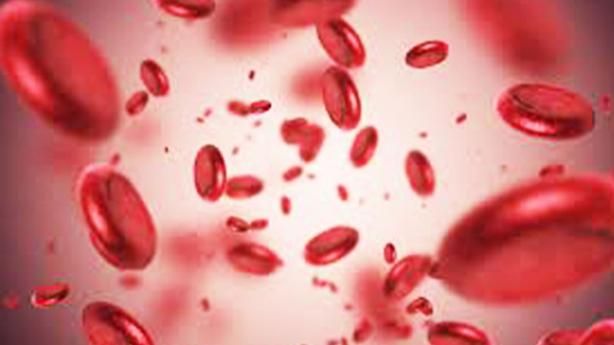 palak soup for anemia 