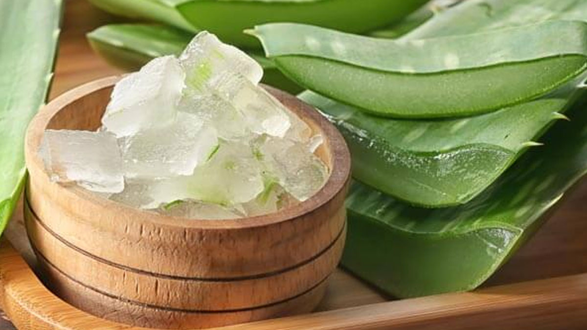 aloe vera for skin dryness