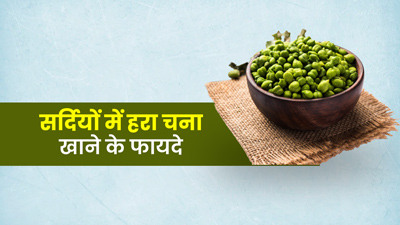 पोषक तत्वों से भरपूर होता है सर्दियों में मिलने वाला हरा चना, जानें इसके 5 फायदे