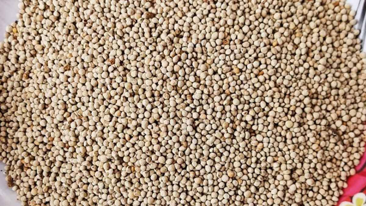 bhangjira health benefits
