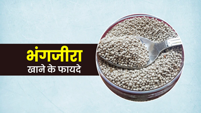 सर्दी में खाएं पहाड़ी भंगजीरा, सेहत को मिलेंगे गजब के फायदे