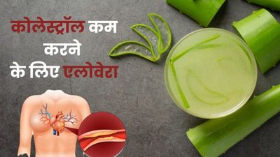 हाई कोलेस्ट्रॉल कम करने के लिए ऐसे करें एलोवेरा का इस्तेमाल, मिलेगा जबरदस्त फायदा