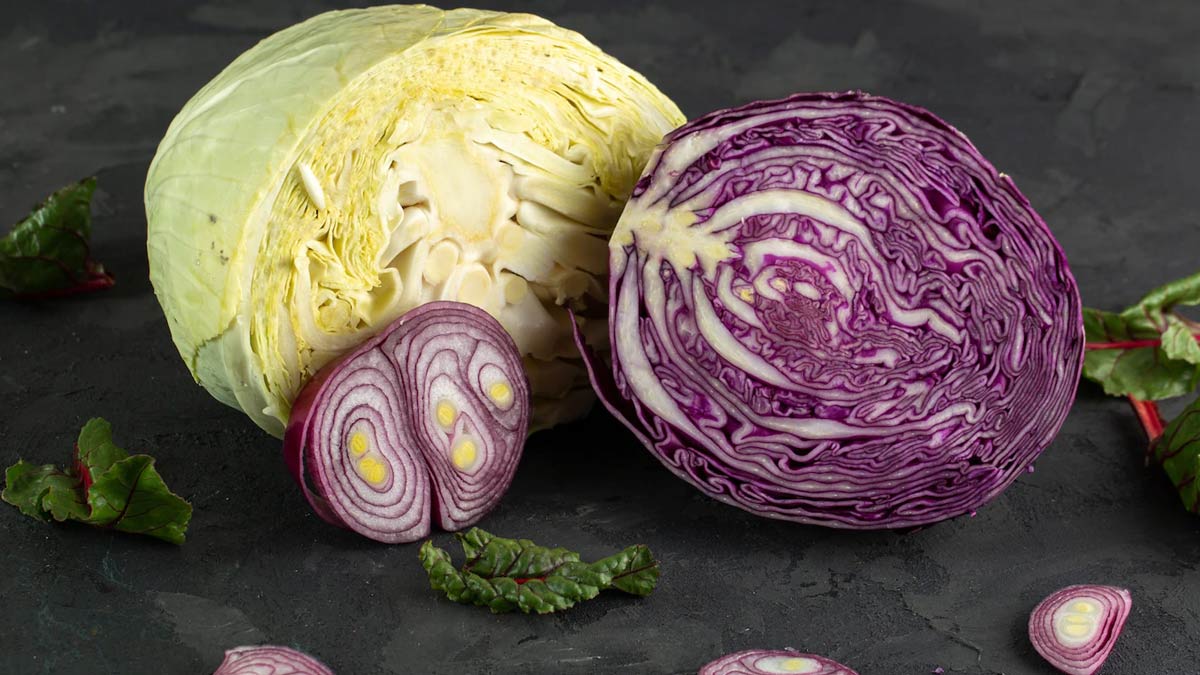 Cabbage And Its Benefits: From Brain Health To Preventing Cancer