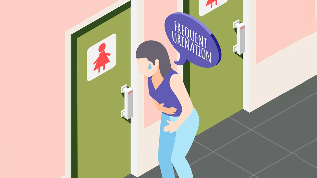 Incontinence and Frequent Urination during Pregnancy. Pregnant