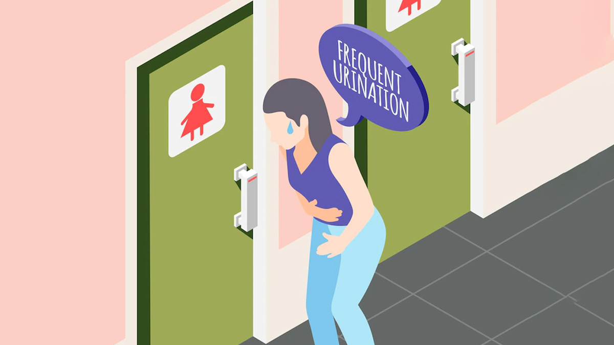 Frequent Urination During Pregnancy