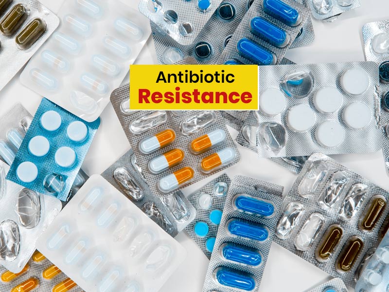 Antibiotic Resistance Reason Effect How To Tackle Onlymyhealth