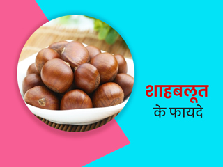 Sweet chestnut: शाहबलूत के सेवन से शरीर को मिलते हैं कई फायदे, जानें सेवन के तरीके