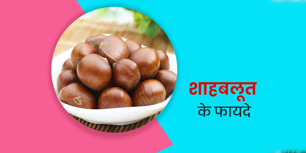 Sweet Chestnut Benefits In Hindi Sweet Chestnut 
