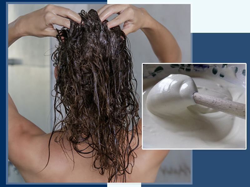 बाल बढ़ाने के लिए दही का इस्तेमाल: बालों की सफाई और अच्छी ग्रोथ के लिए इन 3 तरीकों से प्रयोग करें दही