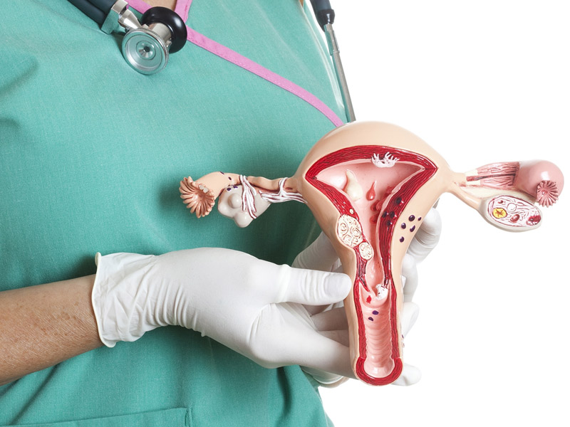 Can Diet Increase Risk Of Cervical Cancer? Expert Explains