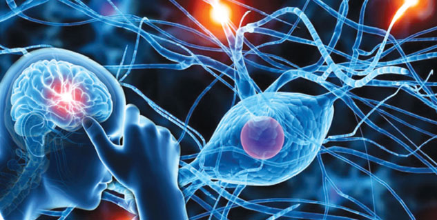 Insidenashonmekamjori