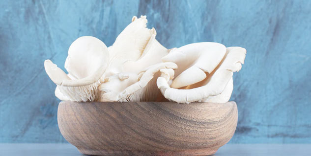 Oyster-mushroom