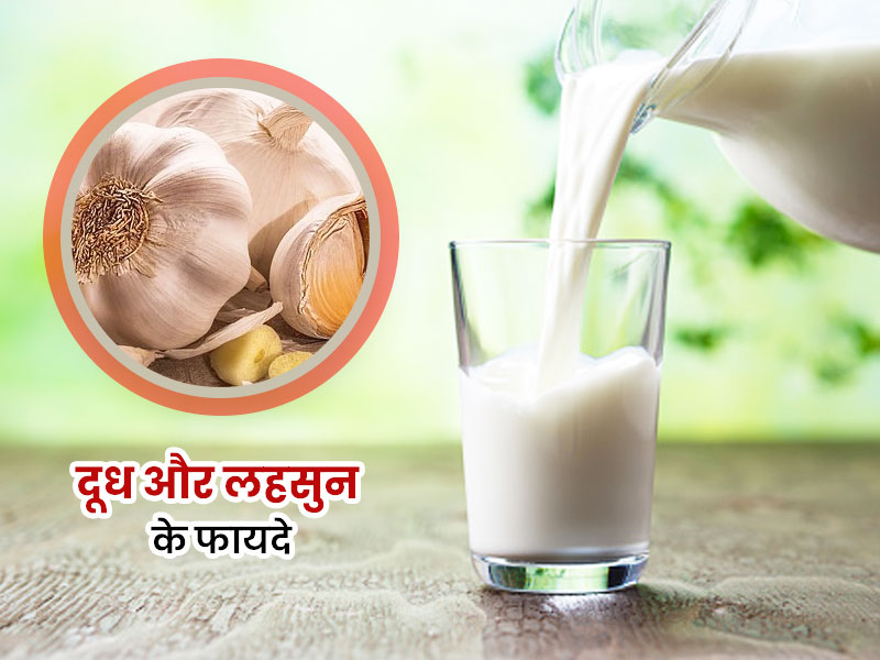 दूध और लहसुन के फायदे: शरीर की इन 6 समस्याओं को दूर करने में फायदेमंद है लहसुन वाला दूध, जानें बनाने का तरीका