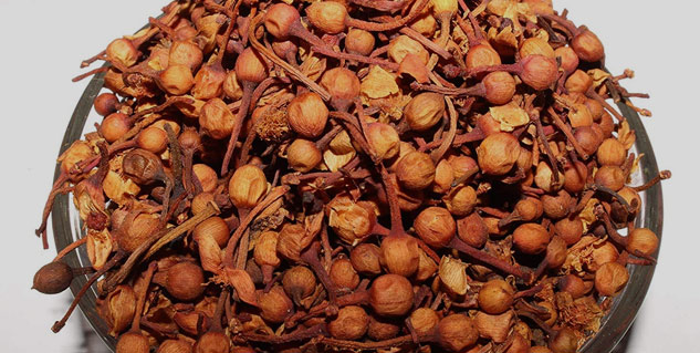 nagkesar uses
