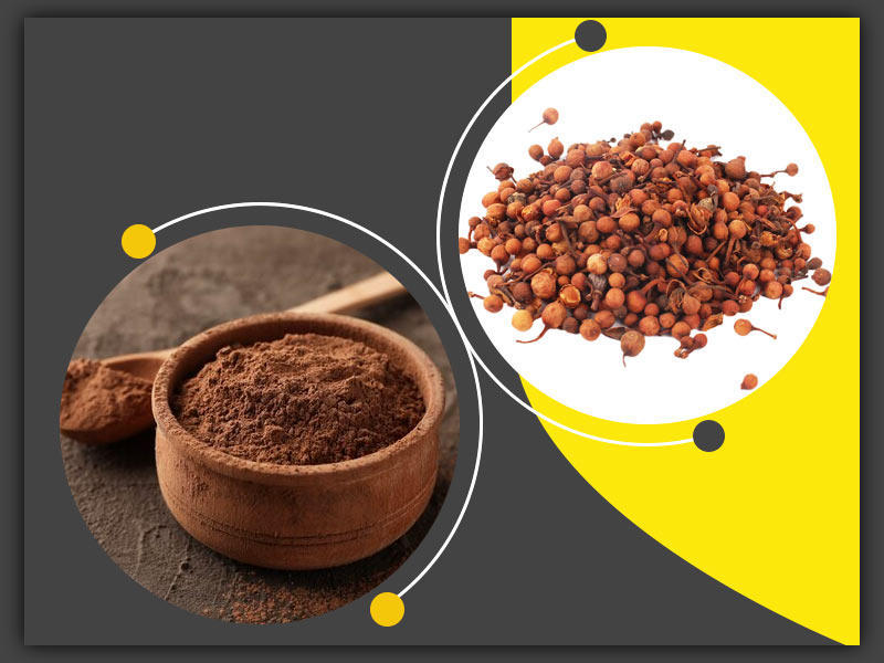 ल्यूकोरिया (सफेद पानी) के इलाज में फायदेमंद है नागकेसर, जानें इस्तेमाल का तरीका