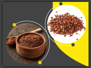 ल्यूकोरिया (सफेद पानी) के इलाज में फायदेमंद है नागकेसर, जानें इस्तेमाल का तरीका