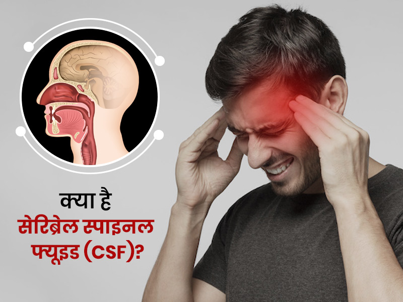 Cerebrospinal Fluid Leak: ब्रेन में लीकेज के कारण होती है ये बीमारी, जानें कारण, लक्षण और बचाव के उपाय