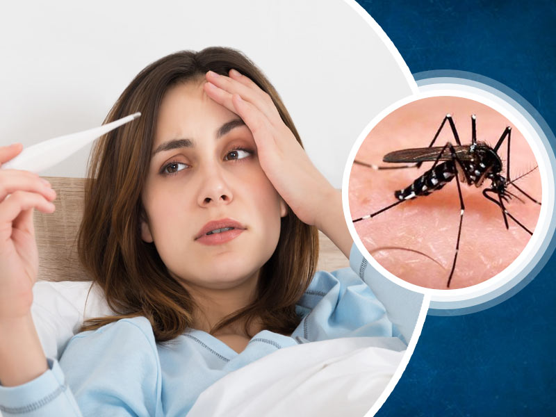 डेंगू के लक्षण क्‍या हैं? जानें इस जानलेवा बीमारी का कारण और इलाज