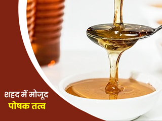 Honey Nutrition Facts: इन पोषक तत्वों के कारण शहद माना जाता है सेहत के लिए फायदेमंद