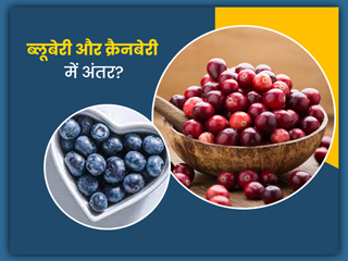 ब्लूबेरी और क्रैनबेरी में क्या अंतर है? जानें सेहत के लिए किसे खाना है ज्यादा फायदेमंद