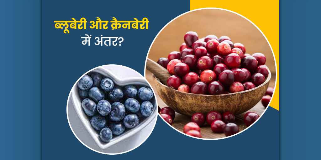Blueberry and Cranberry Which is Better in Hindi ब्लूबेरी और